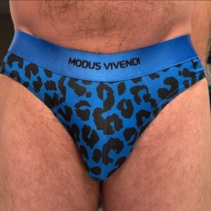 Modus Vivendi Men's Blue Leopard Briefs